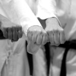 karate, battle, fist-7844492.jpg